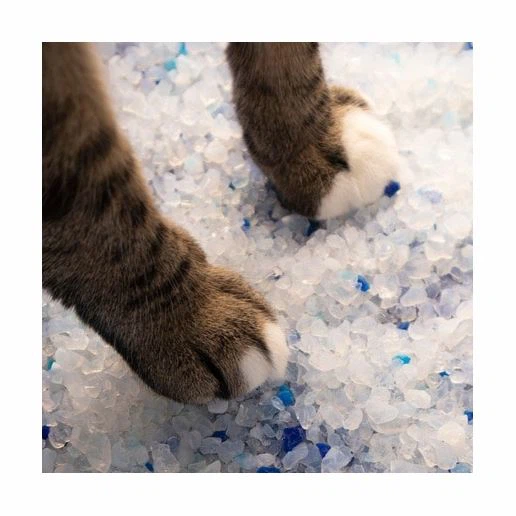 Is Crystal Cat Litter Safe